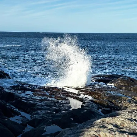 Unik Og Moderne Med Utsikt Mot Havet 38 Otterlei *
